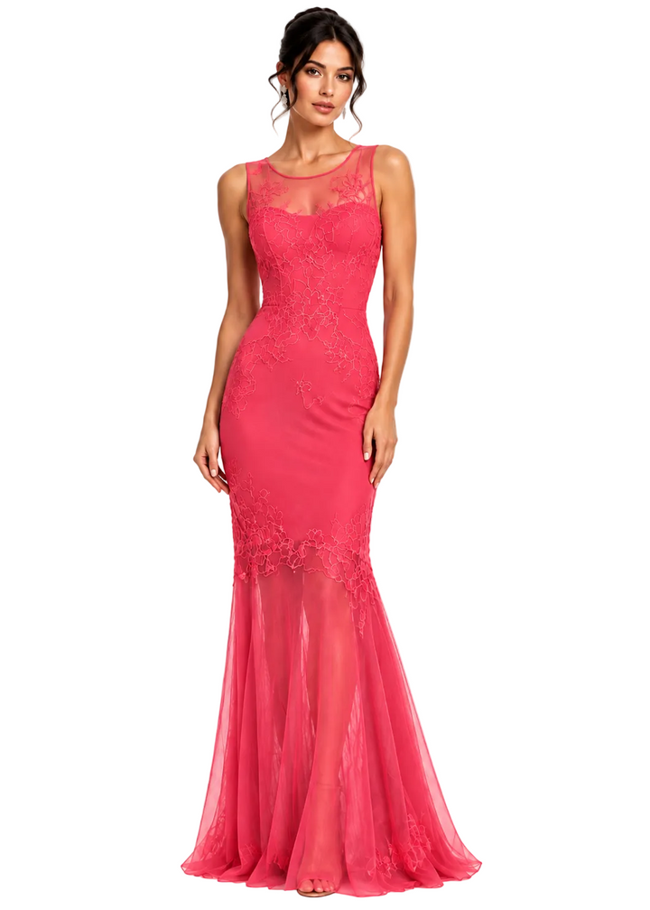 Celeste Embroidered Mesh Evening Dress By Sambara