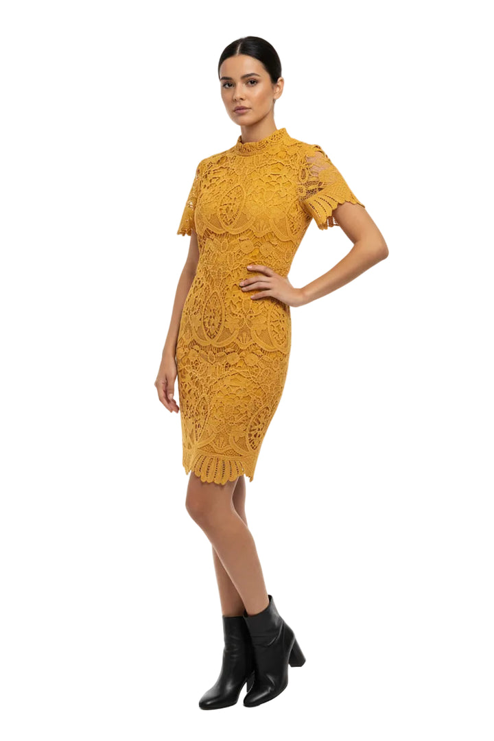Luxe Lace Dress By Sambara
