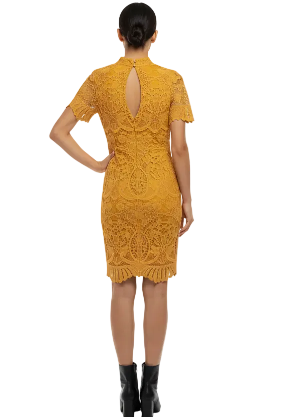 Luxe Lace Dress By Sambara