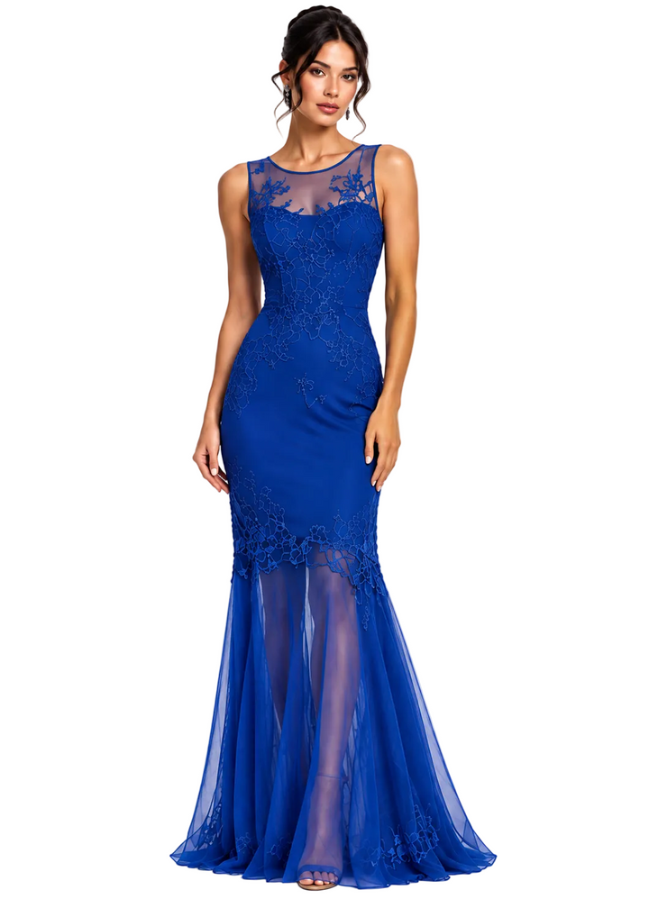 Celeste Embroidered Mesh Evening Dress By Sambara