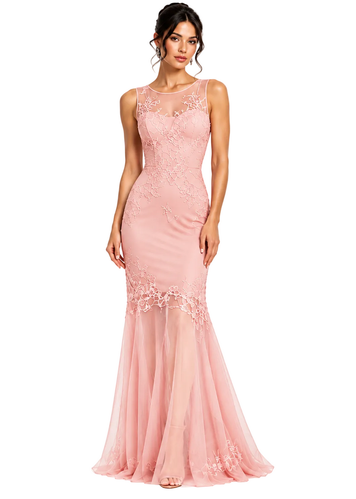 Celeste Embroidered Mesh Evening Dress By Sambara