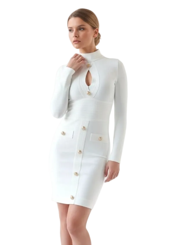 CINTY DRESS BY RUNWAY SECRETS